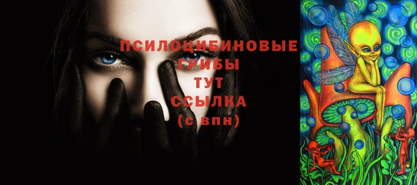 прущие грибы Армянск