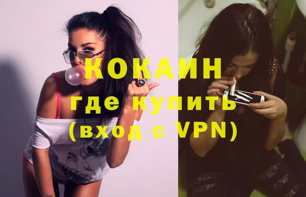 прущие грибы Армянск