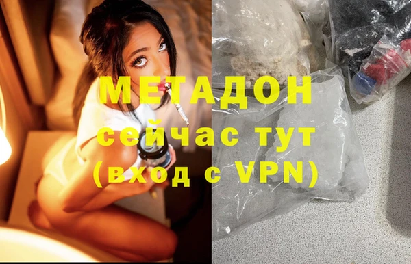 прущие грибы Армянск