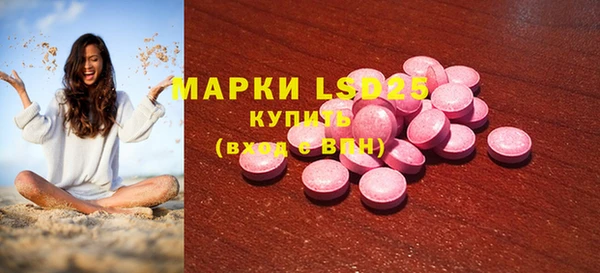 прущие грибы Армянск