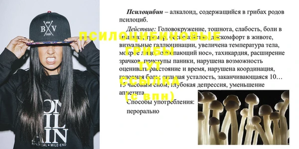 прущие грибы Армянск
