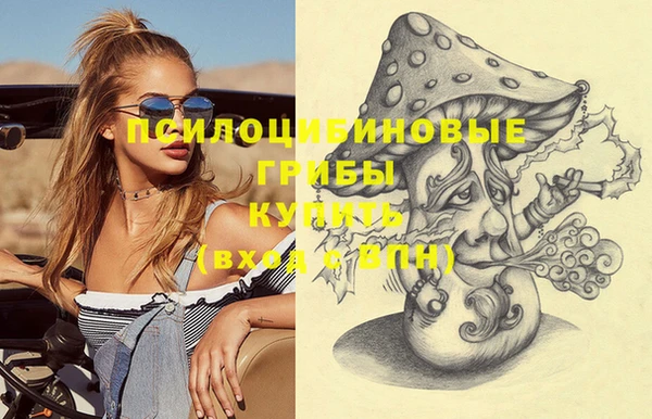 прущие грибы Армянск