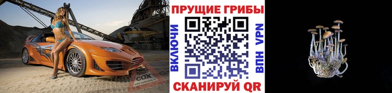mega ссылка  Судак  Псилоцибиновые грибы GOLDEN TEACHER 